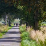 Endspurt bei der #SaelzerLaufChallenge