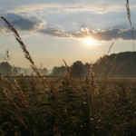 Sonnenaufgangslauf 2019