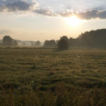 Sonnenaufgangslauf 2019
